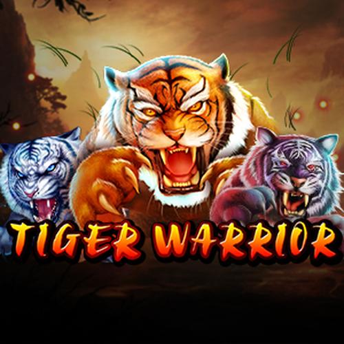 เล่นสล็อต TIGER WARRIOR Spadegaming 