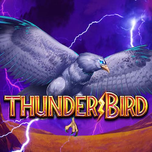THUNDER BIRD SPINIX