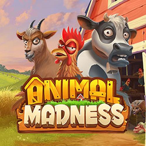 เล่นสล็อต animal madness PLAYNGO 