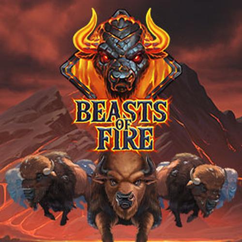 เล่นสล็อต beasts of fire PLAYNGO 