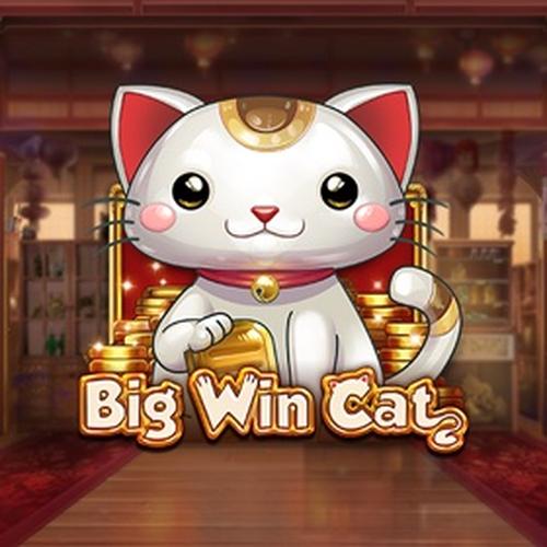 เล่นสล็อต big win cat PLAYNGO 