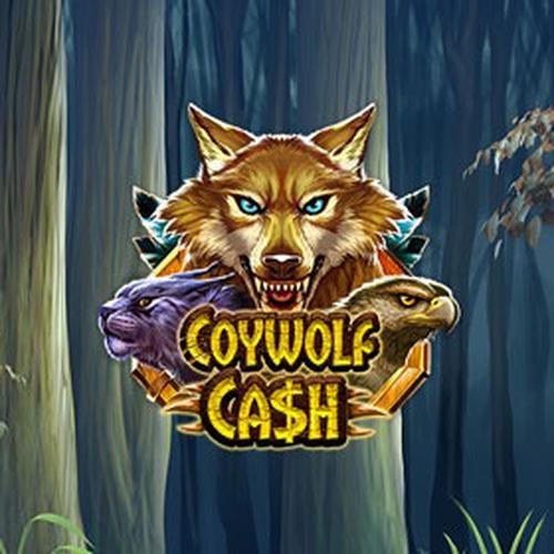 เล่นสล็อต coywolf cash PLAYNGO 