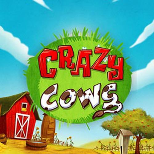 เล่นสล็อต crazy cows PLAYNGO 