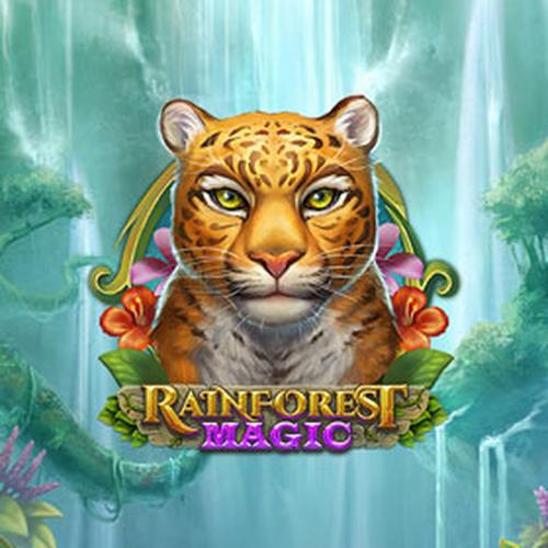 rainforest magic PLAYNGO