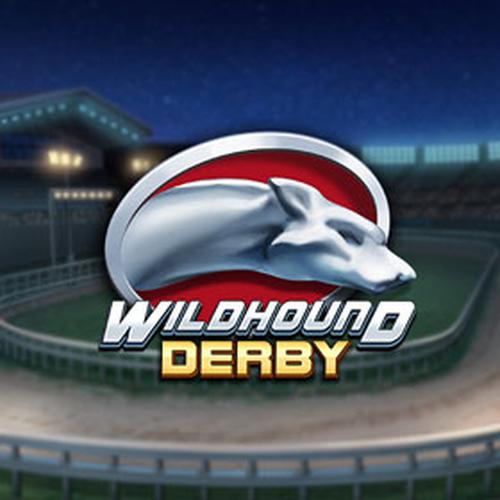 เล่นสล็อต wildhoun dderby PLAYNGO 