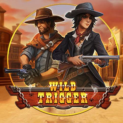 เล่นสล็อต wild trigger PLAYNGO 