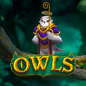 OWLS สล็อต No Limit